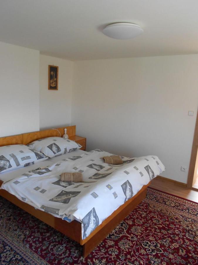 Maison d'hôtes Ubytovani U Babicky à Lanžhot Extérieur photo